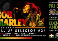 Pull up Selector #24 (Melbourne)