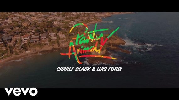 Charly Black, Luis Fonsi – Party Animal