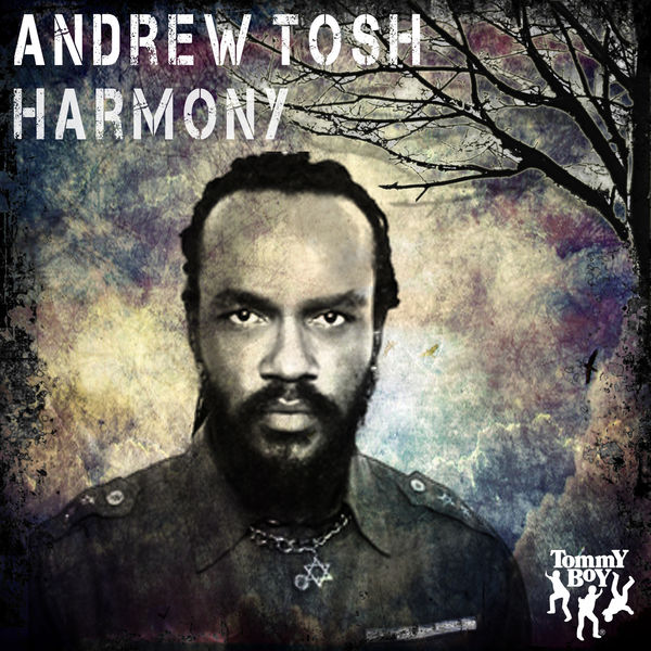 Andrew Tosh & Ky-Mani Marley – Harmony (Main Mix)