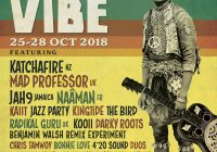 Island Vibe Festival 2018 – (Final Day)