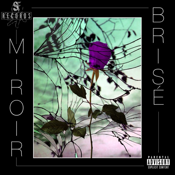 Soja / Fleopard – Miroir brisé