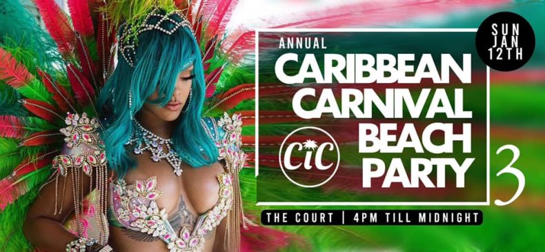 Annual caribbean Carnival beach party 3