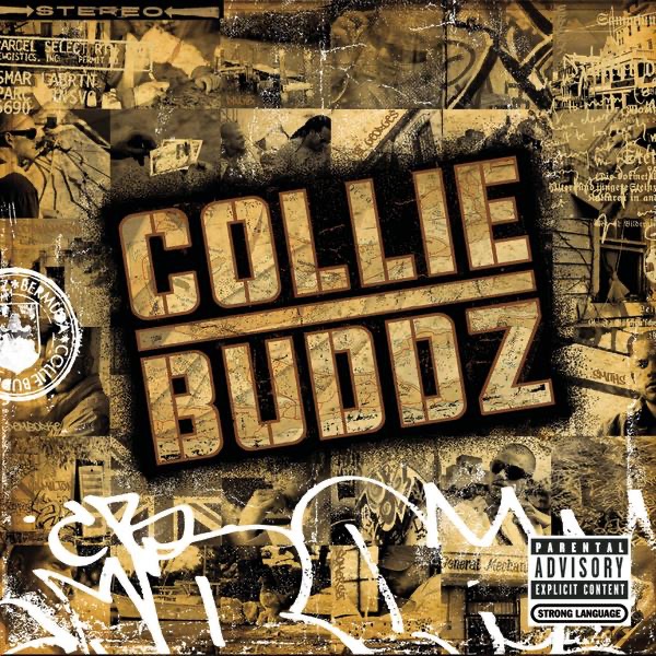 Collie Buddz – Blind to You