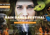 Rain Dance Festival – Aware Collective Fire Relief event