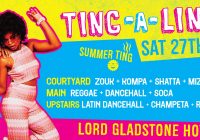 Ting-A-Ling | Summer Ting!